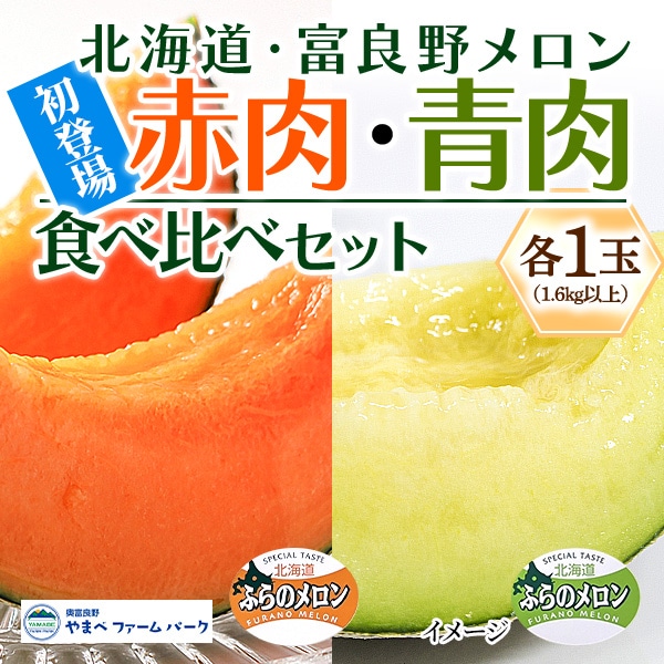 予約販売（7月中旬より順次発送）【北海道から夏の贈り物】『ふらのメロン 赤肉・青肉食べ比べセット（各1玉 1.6kg以上）』送料1,260円均一です！（沖縄・諸島の配送不可）